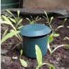 Vegyszermentes csiga csapda természetbarát kertekhez