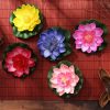 Kertész Tavirózsa csomag (5 darab) - virágok a kertedbe, virágágyásokba, balkonokra, teraszokra!