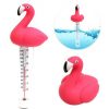 Rózsaszín madár formájú vízhőmérő medencéhez